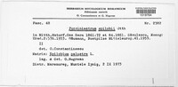 Pucciniastrum epilobii image